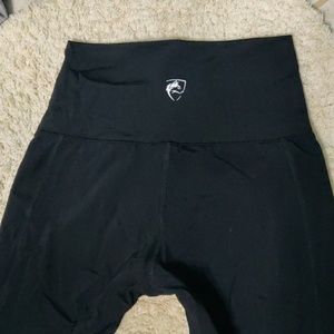 Alphalete Meridian Leggings